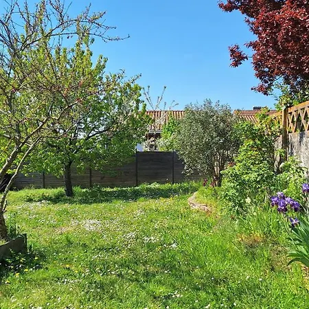 Vakantiehuis Verriere Au Coeur Du Vignoble